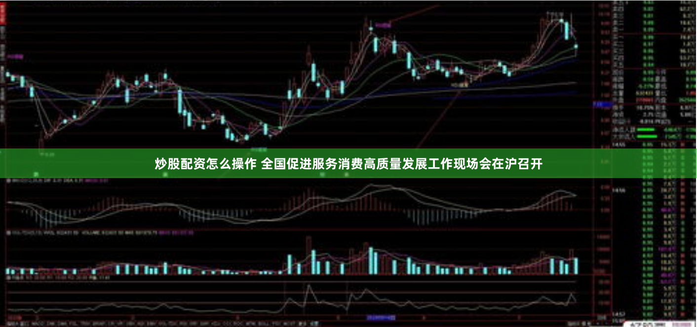 炒股配资怎么操作 全国促进服务消费高质量发展工作现场会在沪召开